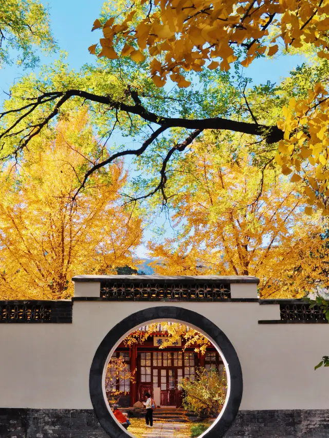 別擠五塔寺！北京原來還有一個寶藏小眾寺院。