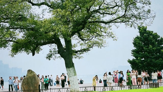 璀璨的「橘子洲」光！！！。