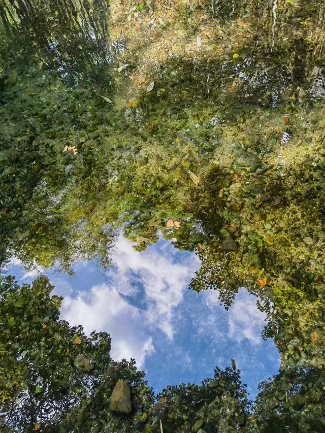 這不是天空，是倒影。