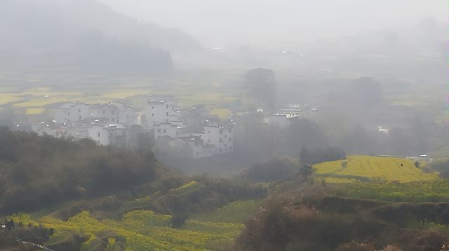 油菜花田裡的悠悠鄉愁。