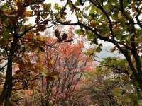 長安子午峪|免費爬山好去處。