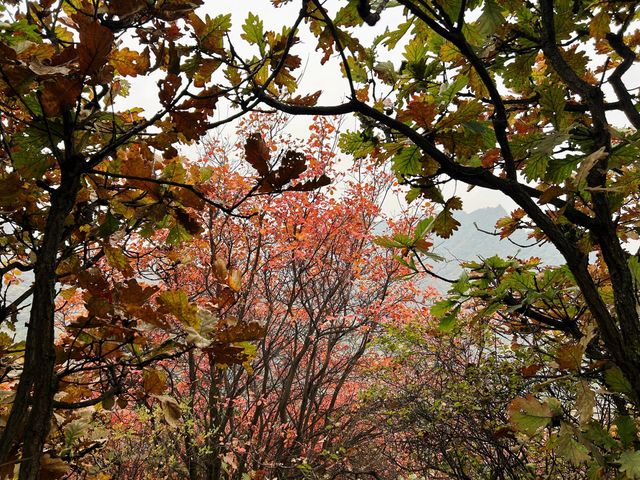長安子午峪|免費爬山好去處。
