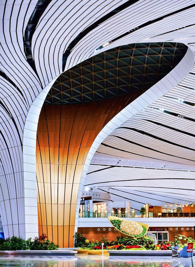 再推薦一個北京免費大片取景地。