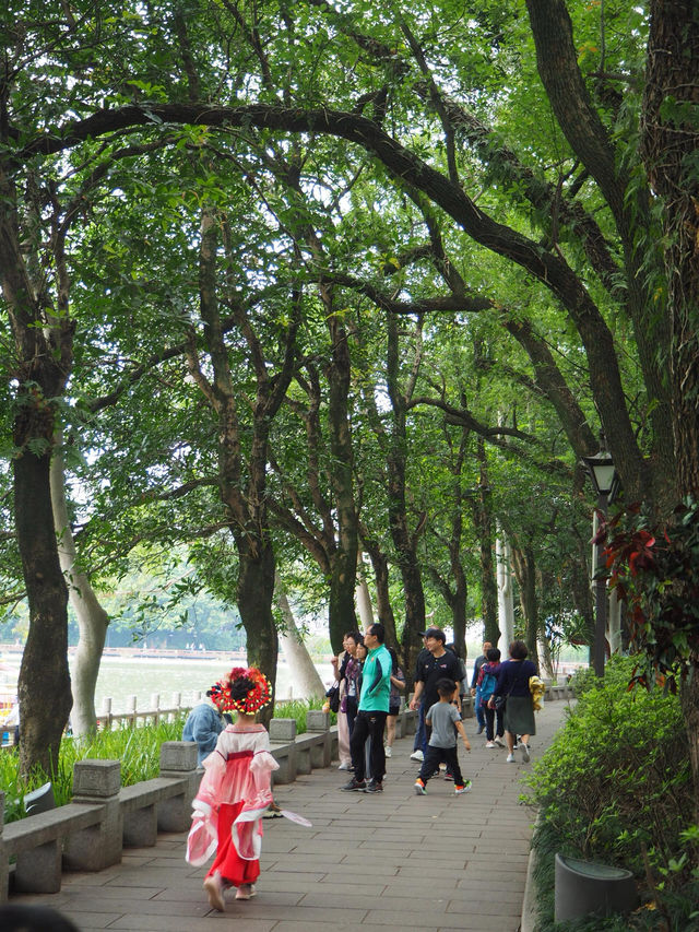 福建福州西湖公園 ｜ 探索「福建園林明珠」之美。