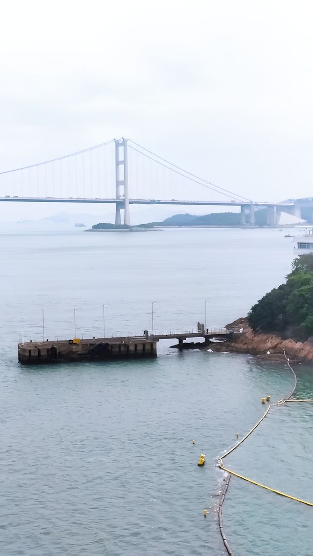 汀九橋夜景真美！海邊生活是怎樣的？