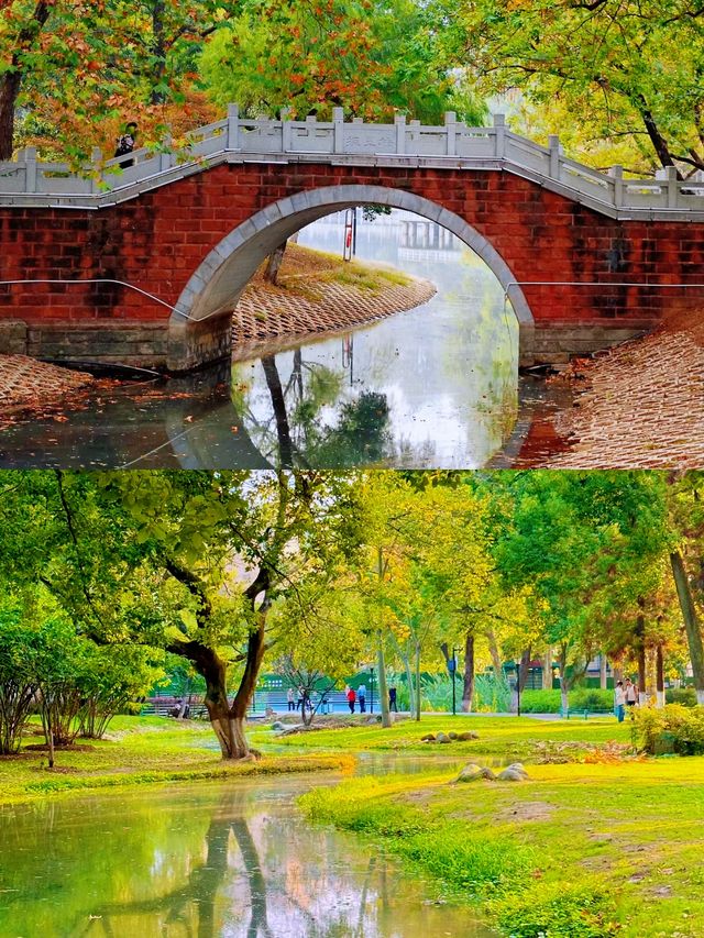 不在京都！就在武漢這個公園已經美到失語。