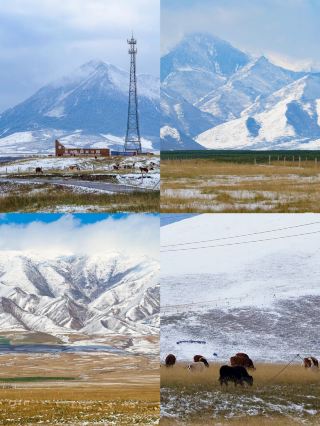 Winter Guide to Shandan Army Horse Farm!!