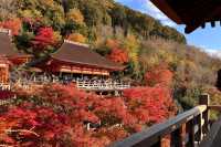 京都｜清水寺紅葉瀑布 風光無限