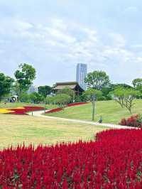 深圳桂灣公園｜人少巨舒服，宮崎駿漫畫公園花又開了！