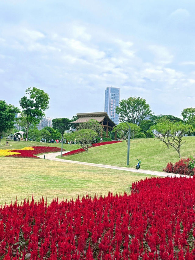 深圳桂灣公園｜人少巨舒服，宮崎駿漫畫公園花又開了！