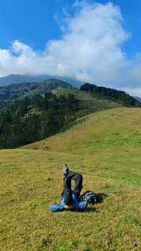 據說這裡的高山草甸獨屬海南·同款阿勒泰天花板