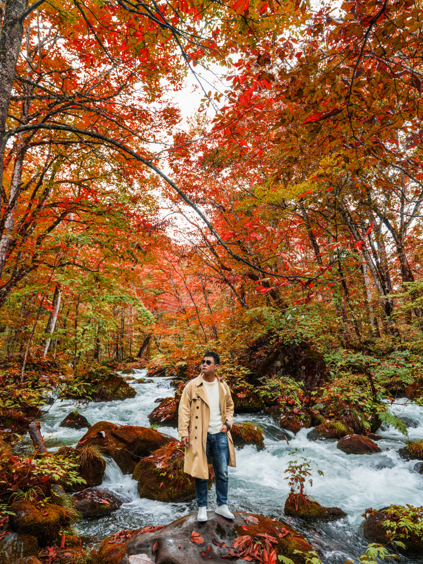 奥入瀬ｃ 最新】奥入瀬渓流 - チケット、営業時間、口コミ、写真 [2026年] Trip.com