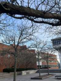 遊覽普林斯頓大學