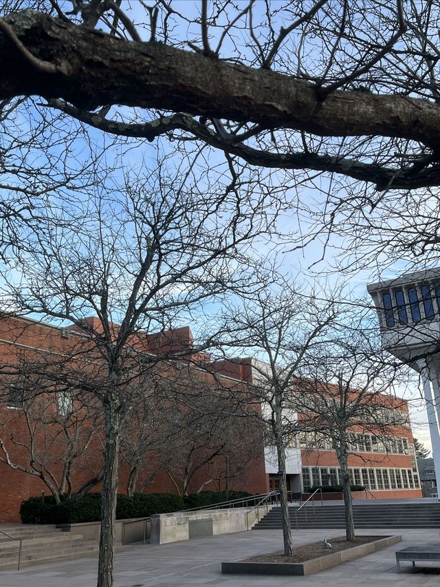 遊覽普林斯頓大學