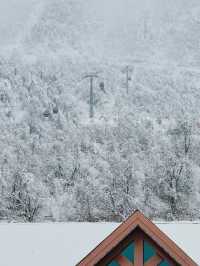 話雖然難聽，但這確實是西嶺雪山的現狀