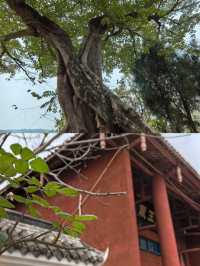 四川射洪·楞嚴閣&白流寺