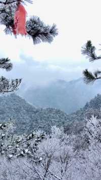 賞雪光霧山，邂逅夢幻冬景