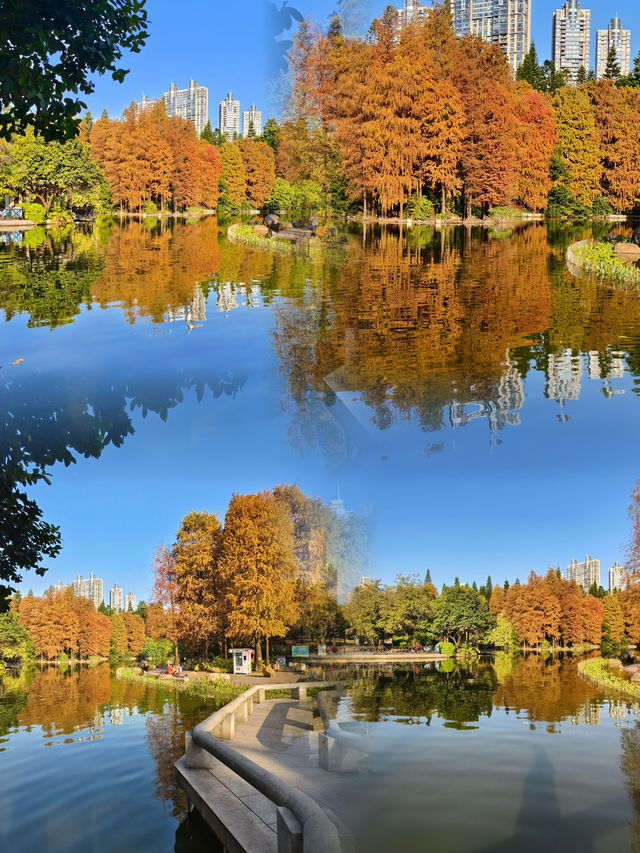 珠江公園 | 城市綠肺裏的夢幻之約