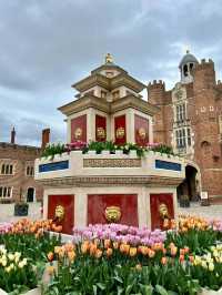 Complete Guide to the Hampton Court Palace Tulip Festival