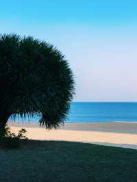 ——深圳市情侶路：醉美海景之旅