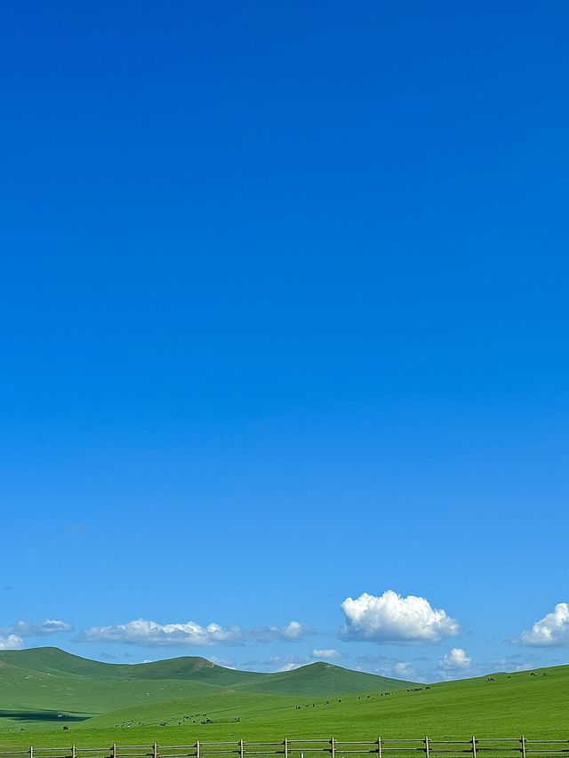 哈爾濱-海拉爾8日深度遊 揭秘要去打卡地
