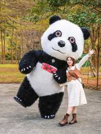 不是京都去不起……而是清遠更有性價比