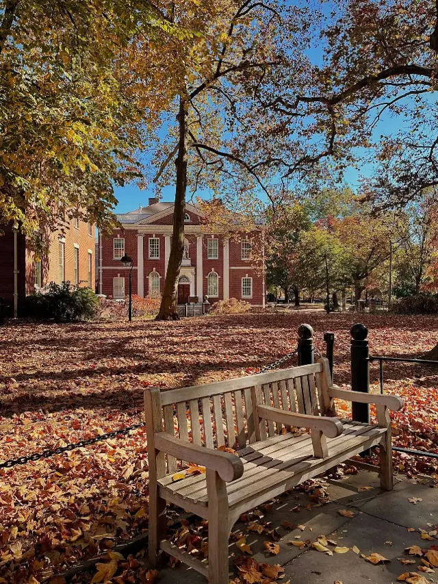 7-Day US Tour: The Ultimate Guide to the US