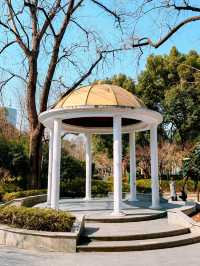 復興公園，冬日風韻