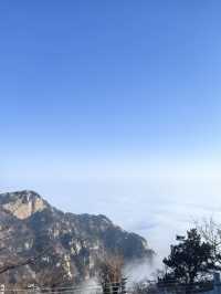 8日暢遊 棗莊-泰安-濟南特全旅行指南