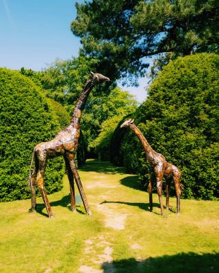 A hidden gem of a town near London: Stevenage Travel Guide