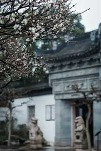 【上海青浦曲水園】雨中江南,絕美打卡地!