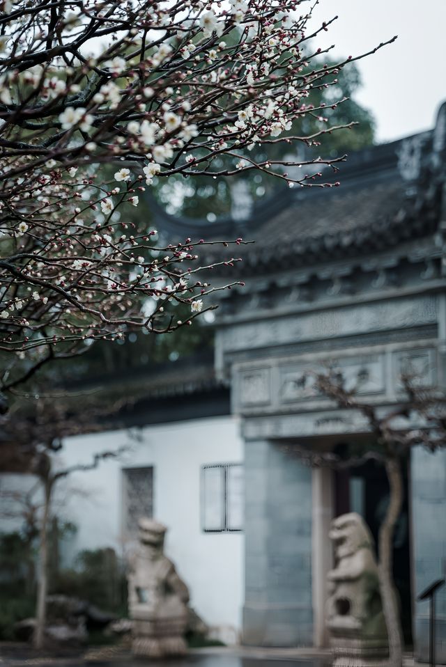 【上海青浦曲水園】雨中江南,絕美打卡地! 【上海青浦曲水園】雨中江南,絕美打卡地!