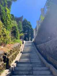 湖北省咸寧九宮山景區‖大自然的氧吧