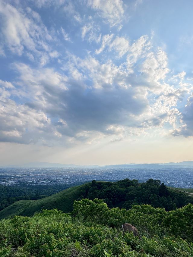 6日暢遊日本 盡享溫泉之旅