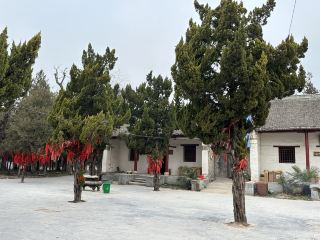 河南超小眾寶藏被我挖到！商丘虞城魏堌堆！