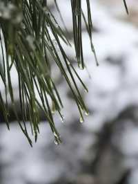 徑山寺觀雪