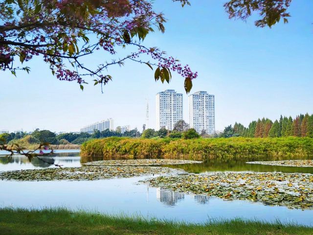 雲南石屏：神仙小城，為甚麼午飯這麼難？