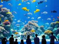 鄭州海昌海洋公園：一場奇幻的海洋探險