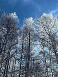 6日玩轉吉林長白山-雪鄉超全攻略速覽