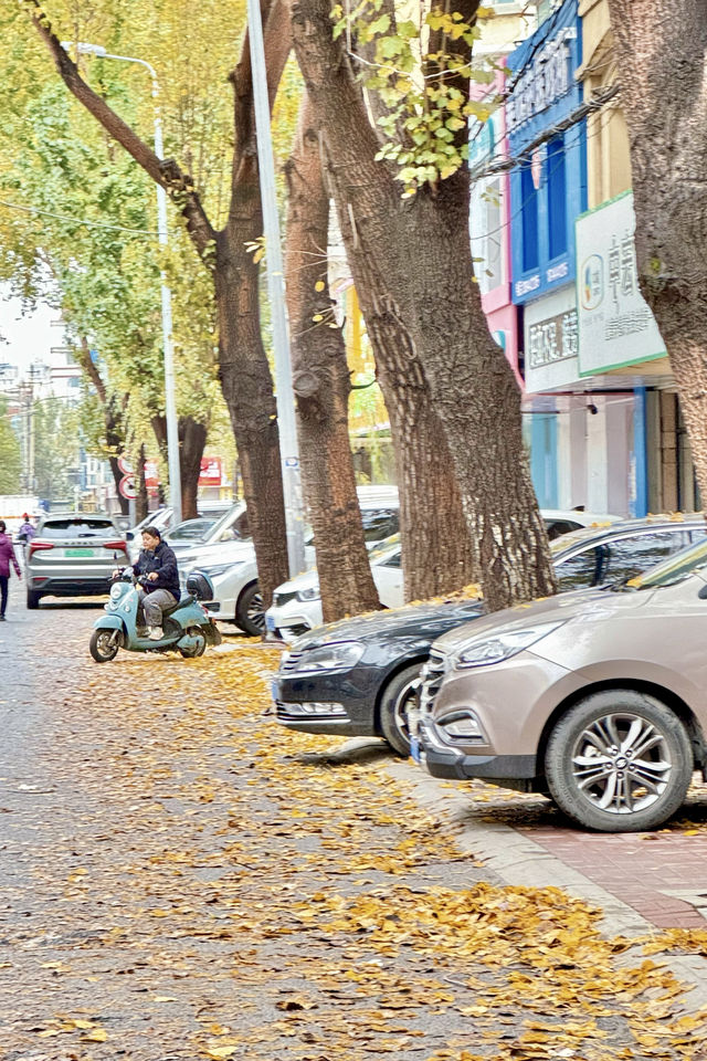 十月·寒冷的午後