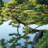 東京·清澄庭園 ：走過清澄白河的日式浪漫💕
