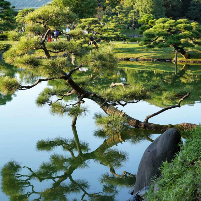東京·清澄庭園 ：走過清澄白河的日式浪漫💕