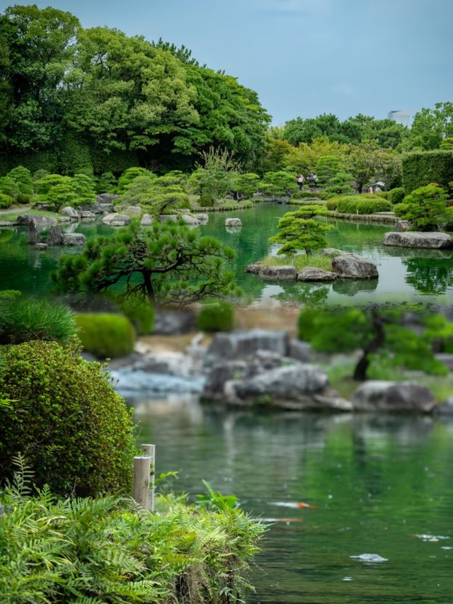 福岡大濠公園日本庭園︱邂逅和風詩意之境
