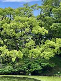悠然綠意：天王寺公園漫步時光