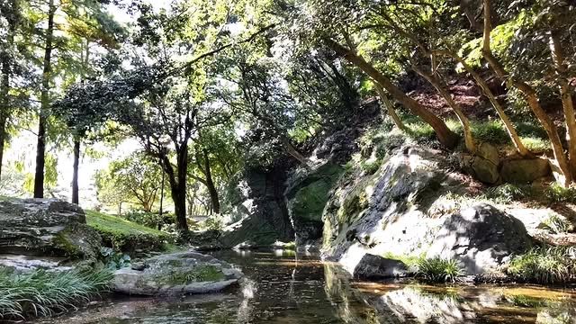 德島的歷史餘韻——德島城遺址公園 