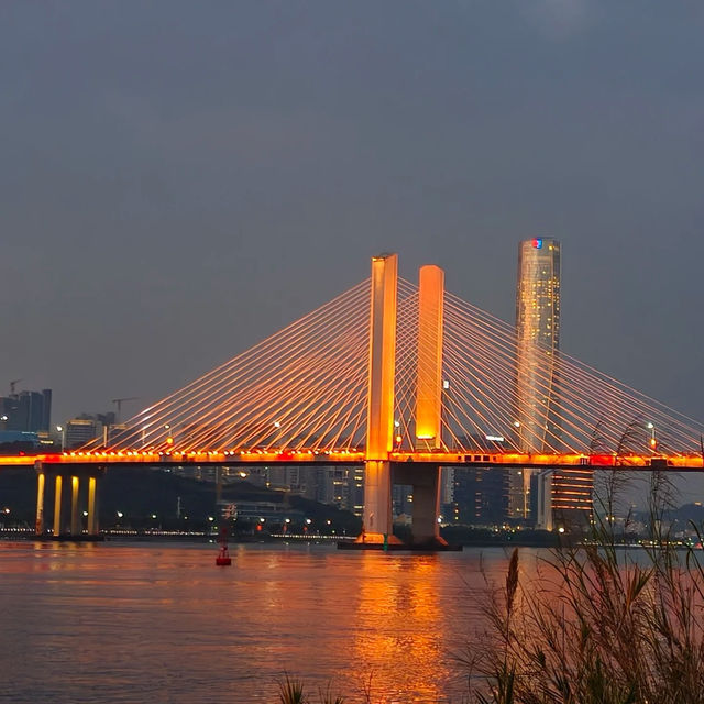 在珠海，邂逅春日限定浪漫花海長廊