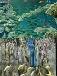 又發現了一個世外桃源 順德長鹿旅遊休博園！