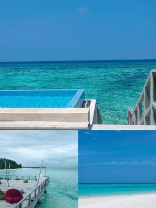A Worker's Guide to Recharging! Dive into the Blues of Velassaru Maldives | Highly Recommended!!!