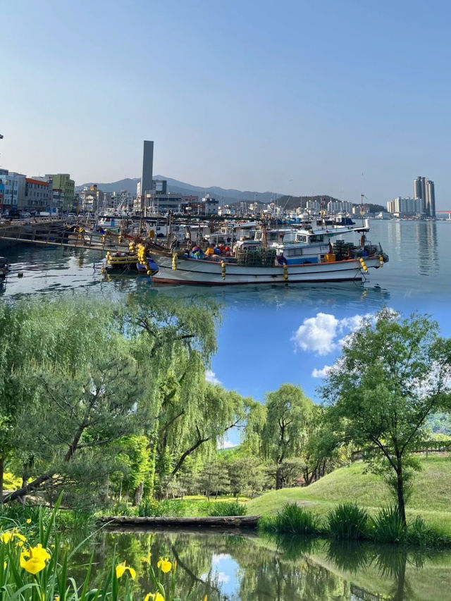 被韓國莞島郡美暈！小眾寶藏旅行地攻略奉上