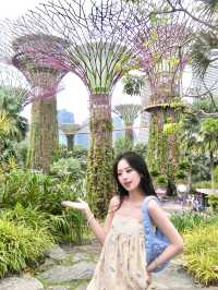 Cloud Forest Garden, and Starry Sky Garden in Singapore🥰❤️